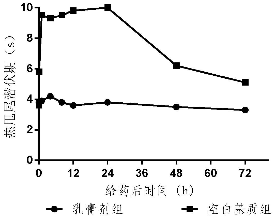 Local used composition containing analgesic, and preparation method and use of local used composition