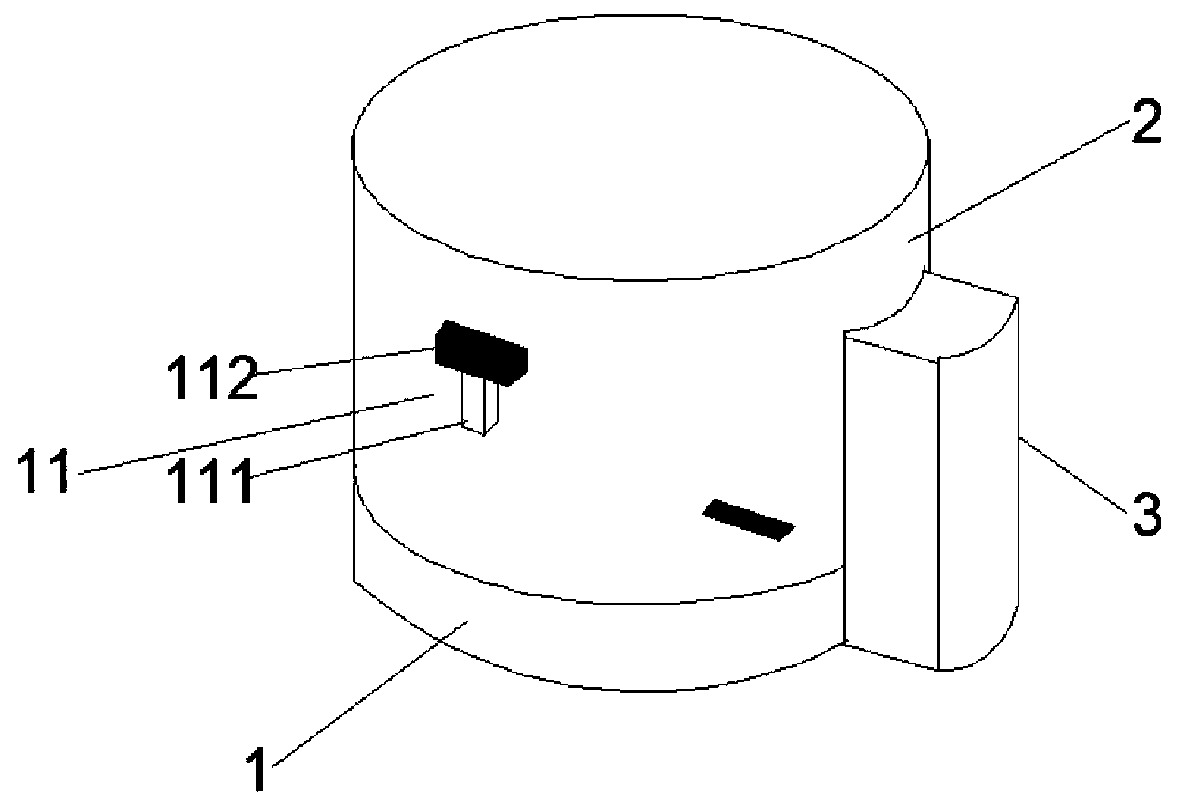 Football training device