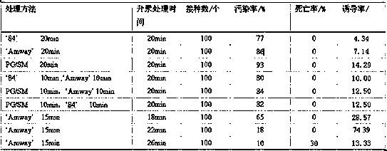 Tissue culture method for obtaining regenerated plantlet by using hippeastrum vittatum plateau as explant