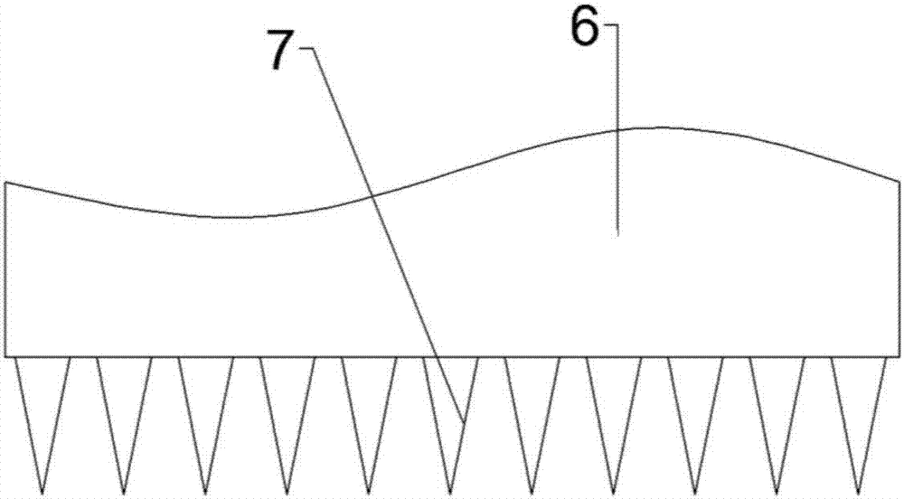 Garden lawn planting device for municipal engineering