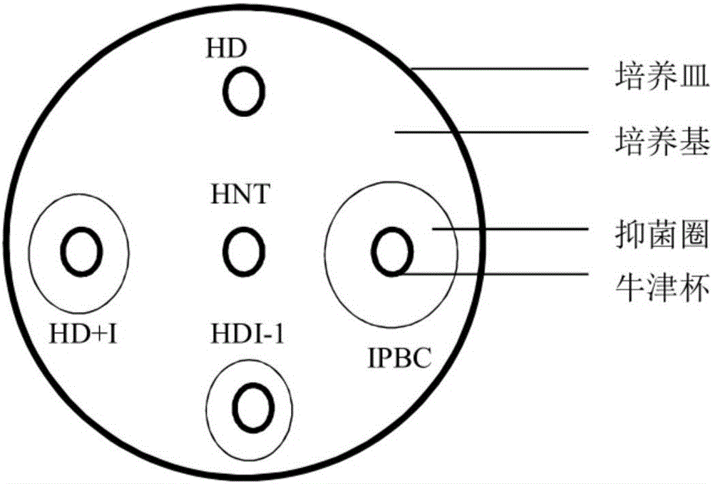 Preparation method of slow-release type multifunctional adhesive