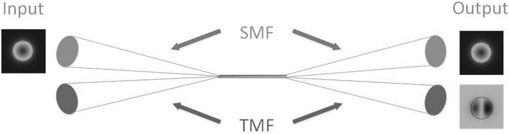 Mode selection coupler based 8-shaped cavity mode locking column vector fiber laser