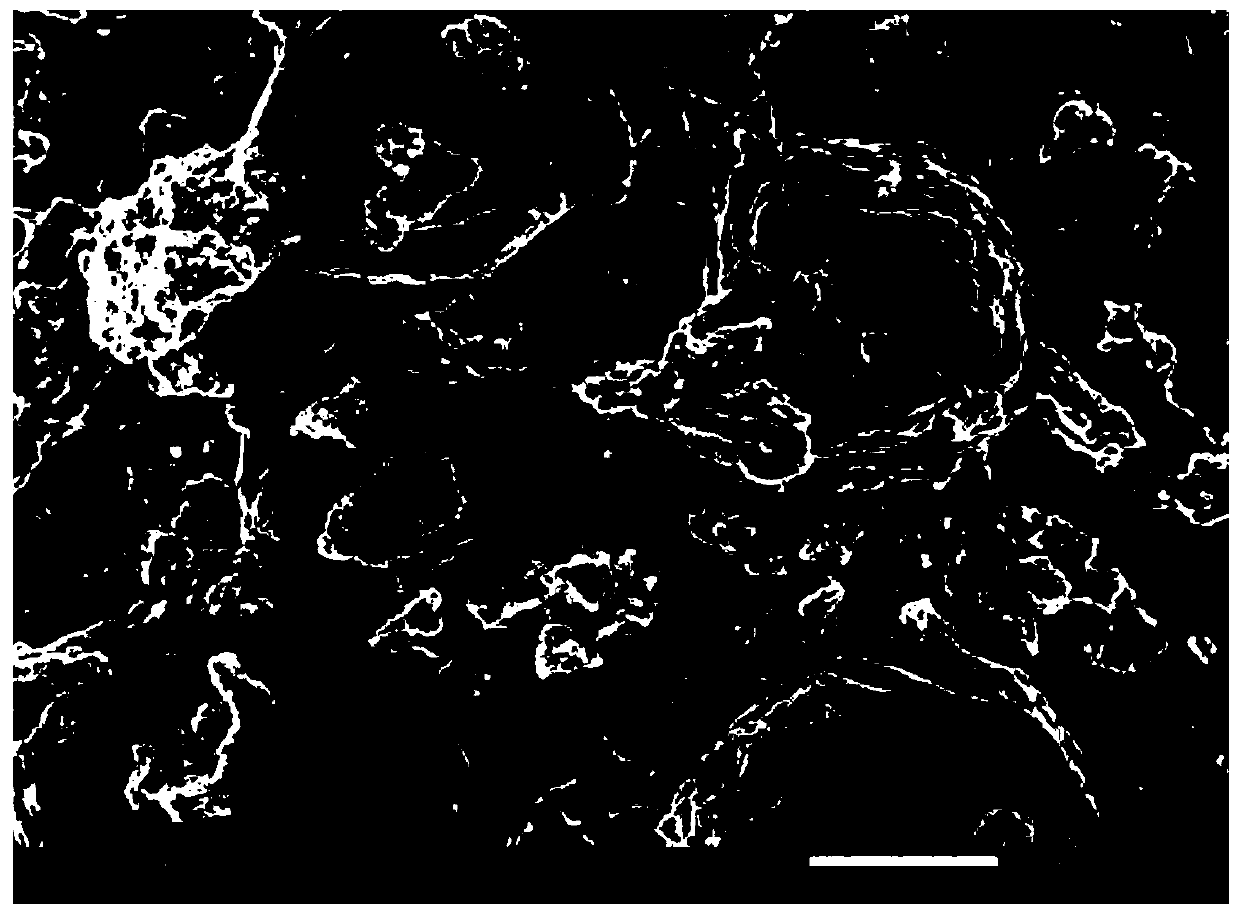 Preparation method and application of embedded substance for improving solubility of dihydrochalcone sweetener