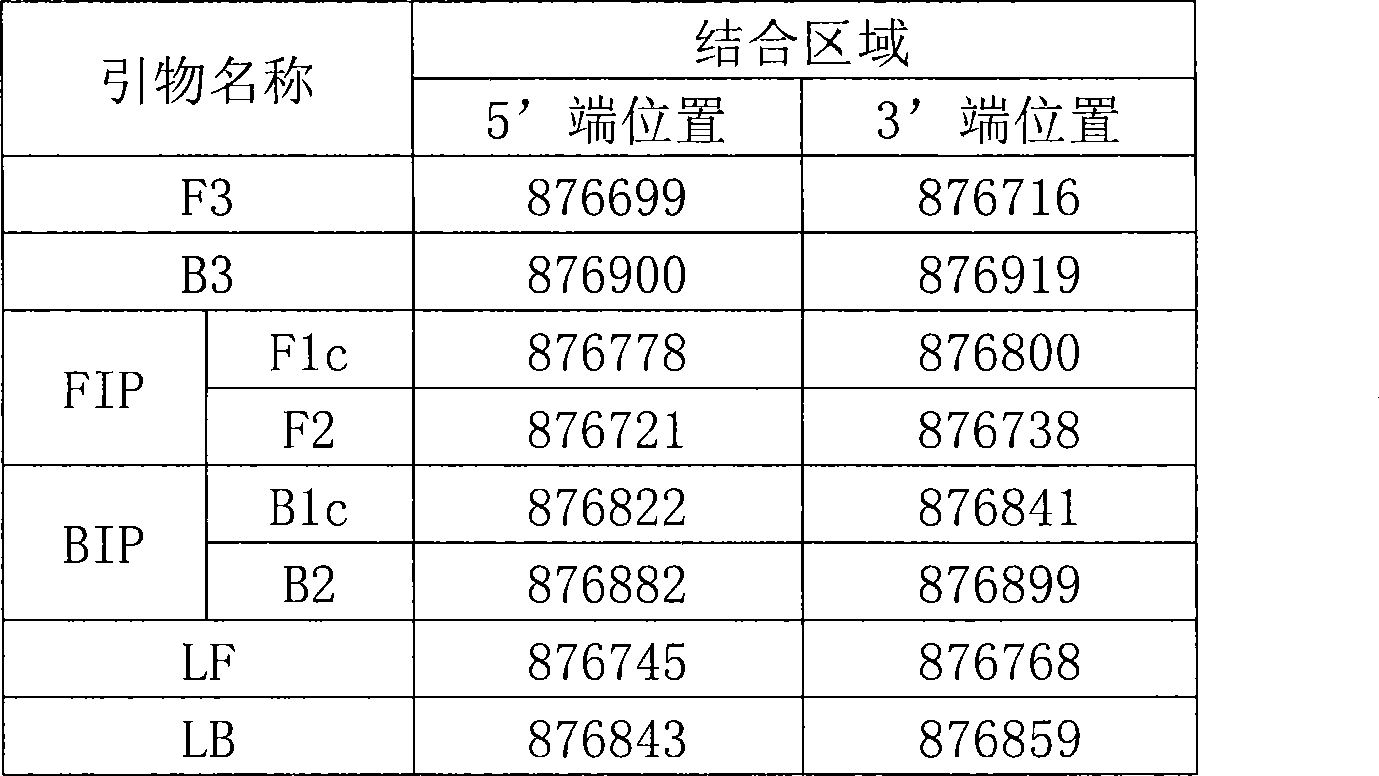 Detection kit for Mycoplasma hyopneumoniae and use thereof