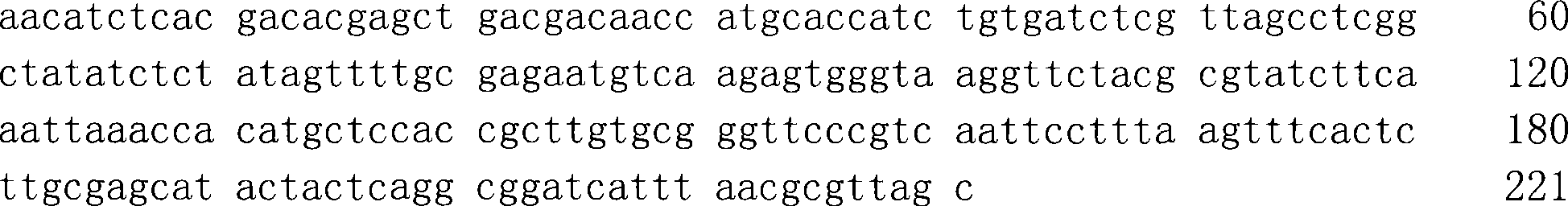 Detection kit for Mycoplasma hyopneumoniae and use thereof