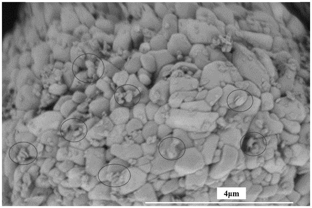 Modified high-nickel ternary positive electrode material and preparation method thereof