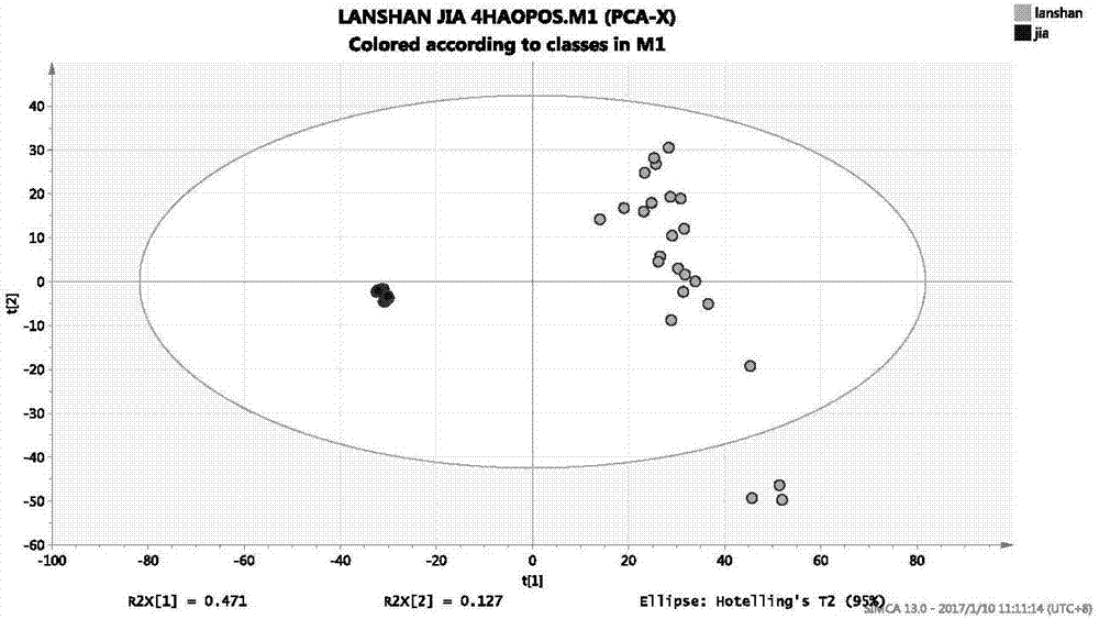 Analysis method for distinguishing true Rizhao green tea from fake Rizhao green tea on basis of UHPLC tandem high-resolution mass spectrum and by using metabonomic technology