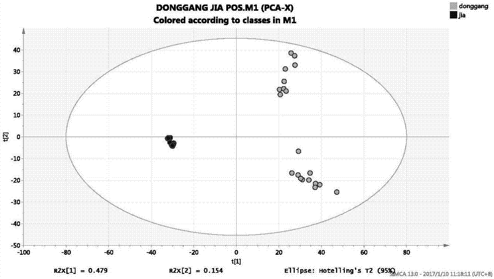 Analysis method for distinguishing true Rizhao green tea from fake Rizhao green tea on basis of UHPLC tandem high-resolution mass spectrum and by using metabonomic technology