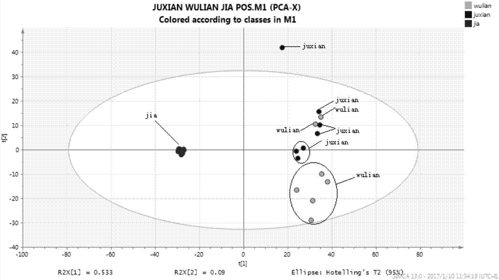 Analysis method for distinguishing true Rizhao green tea from fake Rizhao green tea on basis of UHPLC tandem high-resolution mass spectrum and by using metabonomic technology