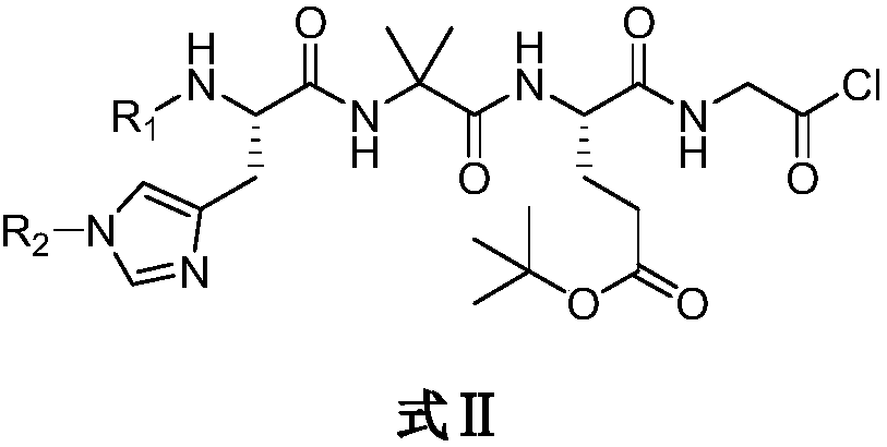 New polypeptide fragment of somalutide and preparation method thereof