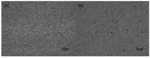 Plastic deformation magnesium alloy and preparation method thereof