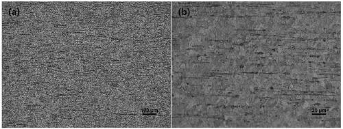 Plastic deformation magnesium alloy and preparation method thereof