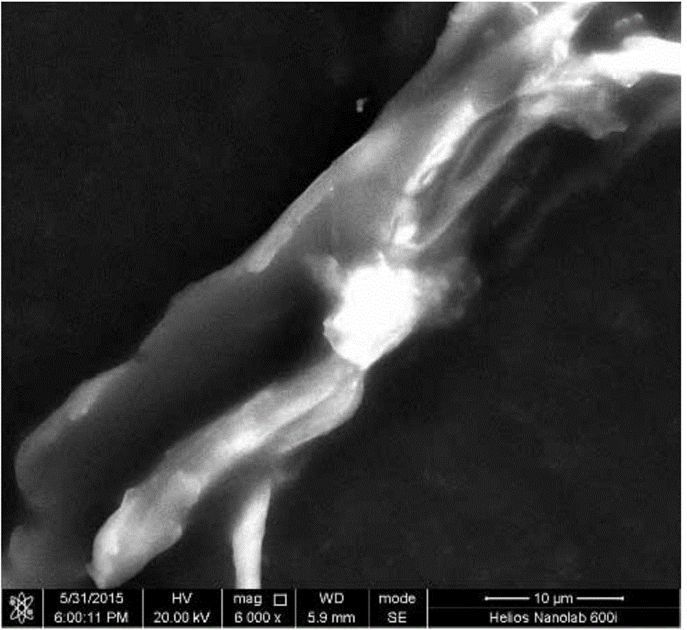 Antibacterial wood plastic composite preparation method through gamma rays