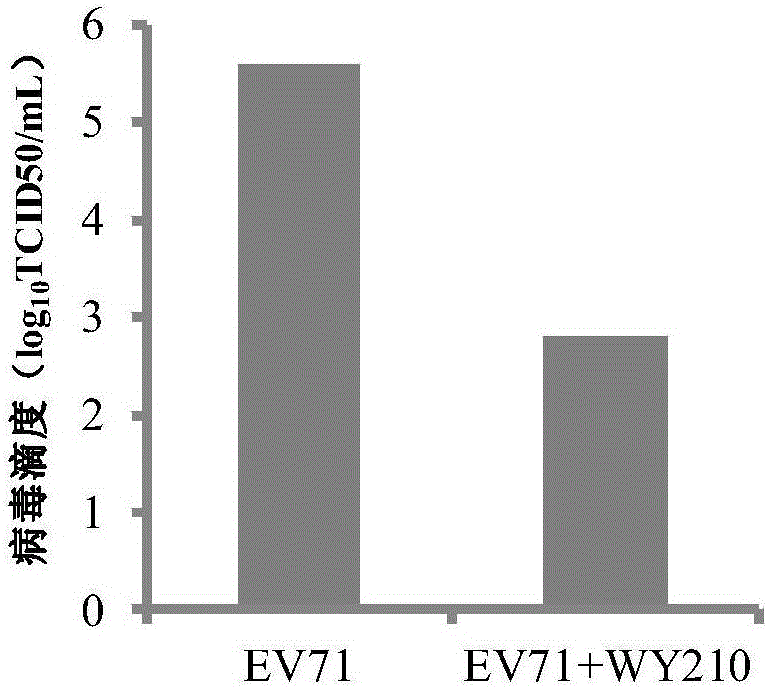 Application of two nitrogen-containing heterocyclic ester compounds to preparation of drugs with resistance to enterovirus 71