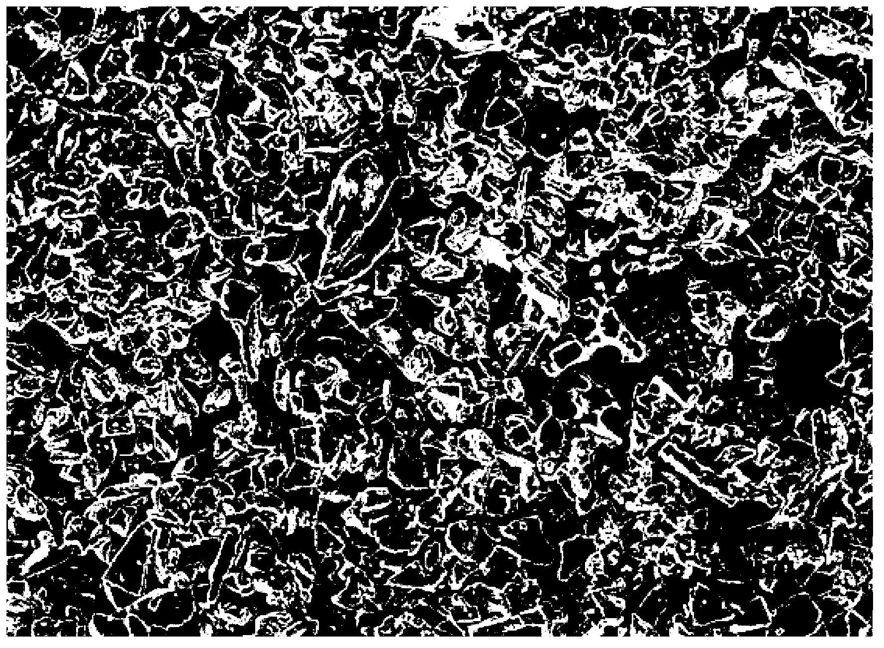 Coating method of silicon carbide ceramic membrane for high-temperature filtration