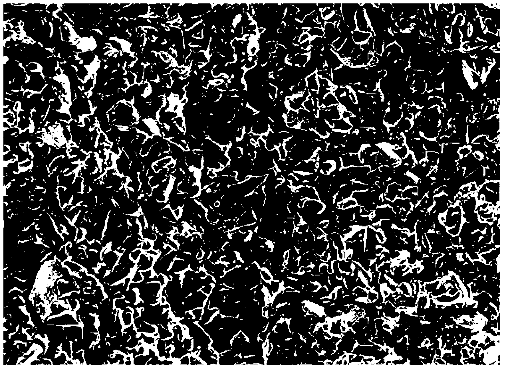 Coating method of silicon carbide ceramic membrane for high-temperature filtration