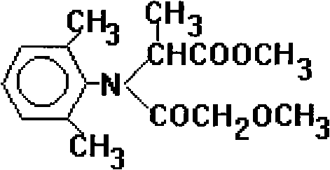 A bactericidal composition containing fludioxonil and metalaxyl