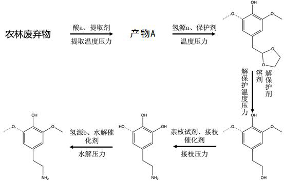 Method for preparing dopamine and derivative thereof by utilizing agricultural and forestry wastes and special equipment thereof