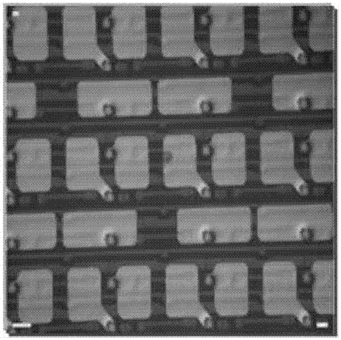 Photoresist stripping liquid