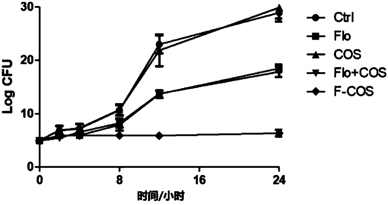 Chitosan oligosaccharide-antibiotic conjugate as well as preparation method and application thereof