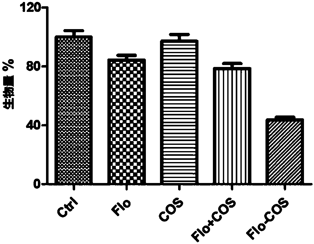 Chitosan oligosaccharide-antibiotic conjugate as well as preparation method and application thereof