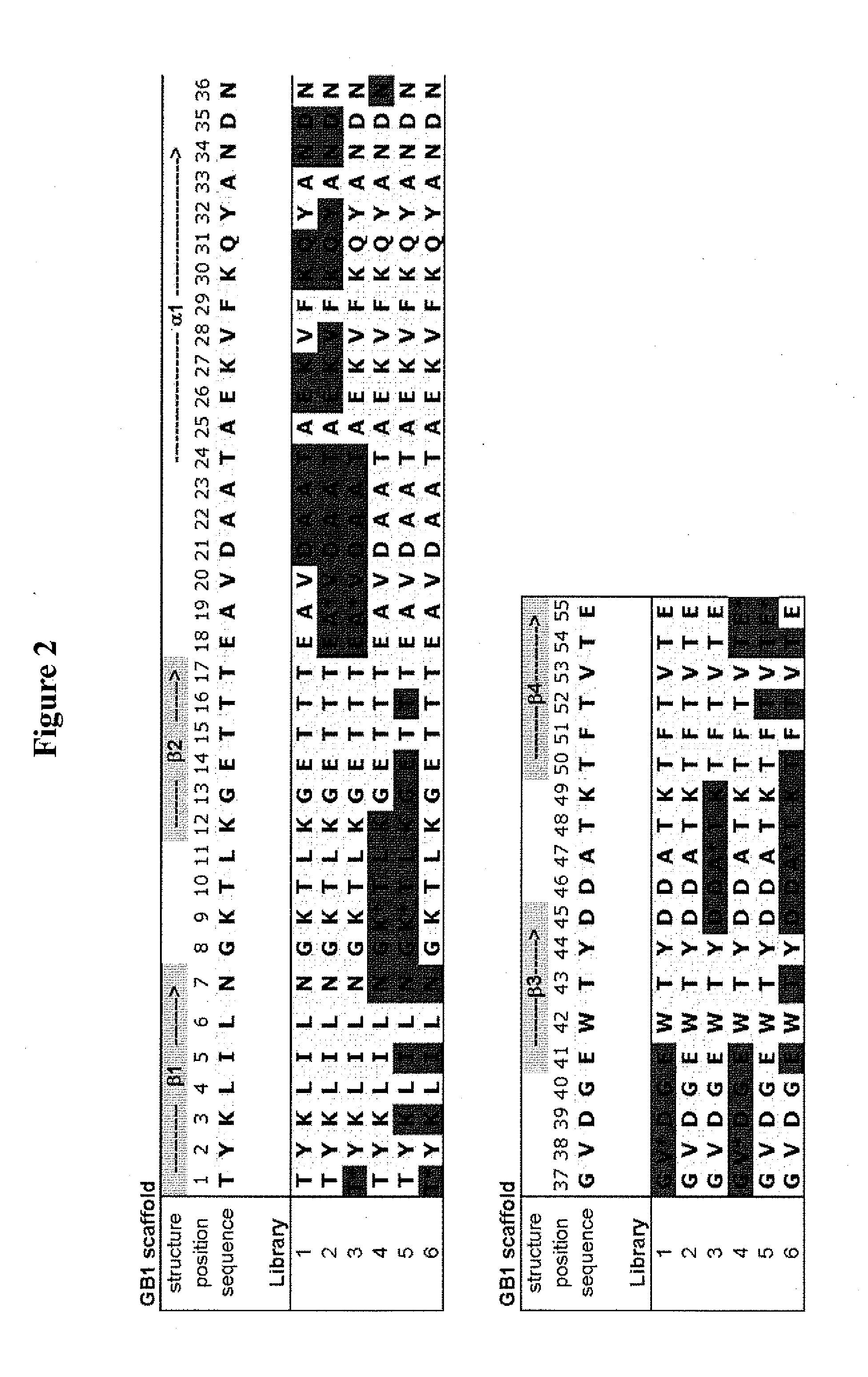 Methods and compositions for identifying d-peptidic compounds that specifically bind target proteins