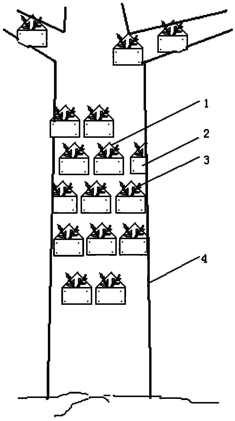 Planting method for pasting dendrobium officinale hood pocket to tree