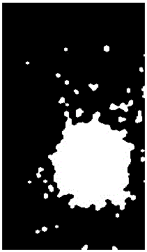 Porcelain insulator insulation state evaluation method based on solar-blind ultraviolet imaging image feature