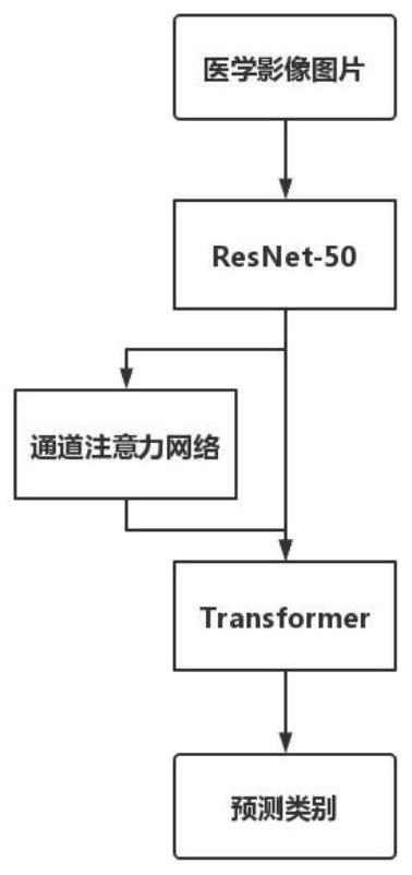 Adaptive medical image classification method and system based on Transform