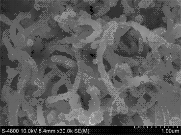 Carbon-nanometer-tube-based magnetic nanometer composite material and manufacturing method thereof