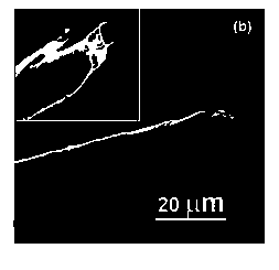 Preparation method of carbon nano-tube composite material with enhancing characteristics