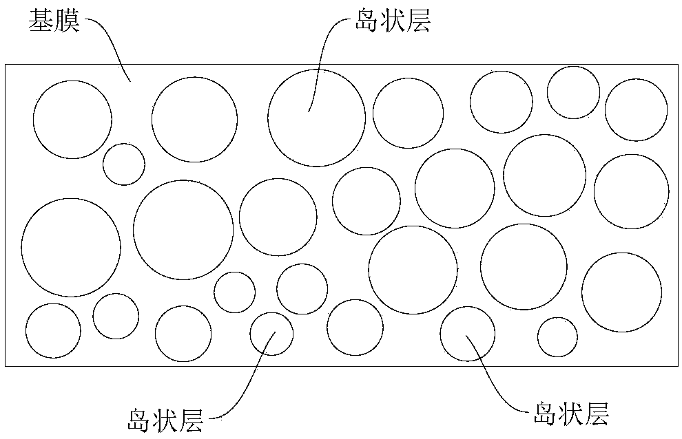 Functional diaphragm and preparation method thereof