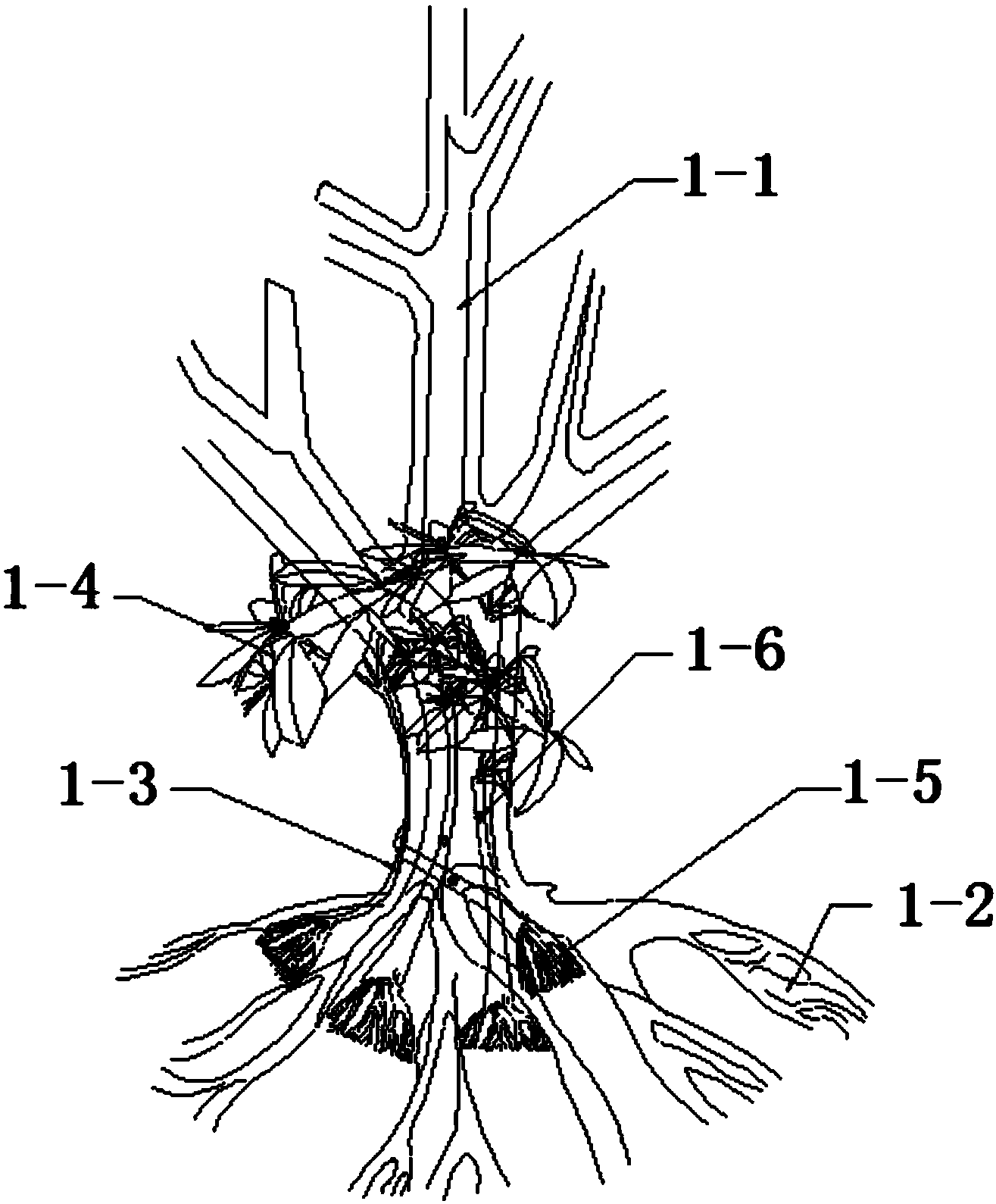 Mutual assistance symbiosis minimally-invasive inarching method for wild alpine rhododendron ancient stumps and seedlings