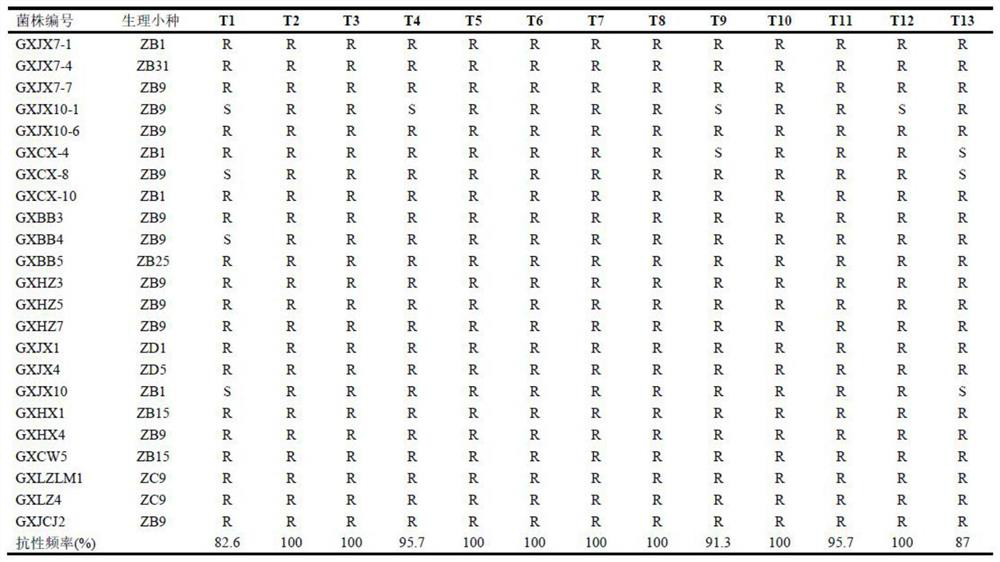 Molecular breeding method of first-grade high-quality long-heavy-grain broad-spectrum rice blast-resistant CHANGHUI dual-purpose rice restorer line