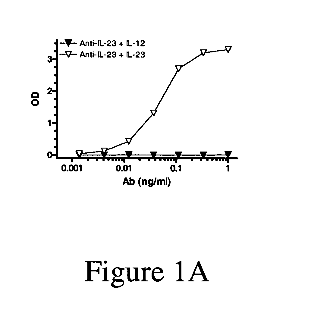 IL-23p40 specific immunoglobulin derived proteins, compositions, methods and uses