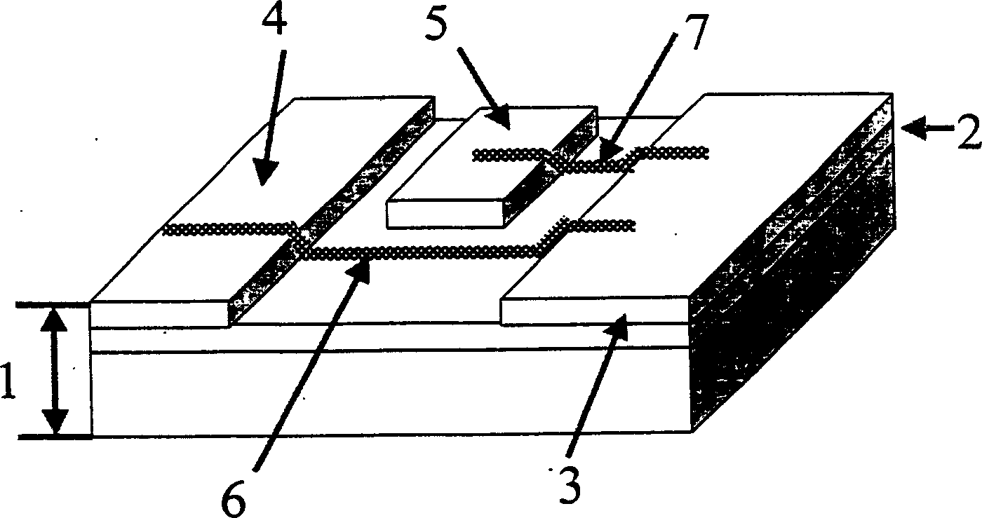 Single-electron storage designed based on coulomb damping principle and its preparing method