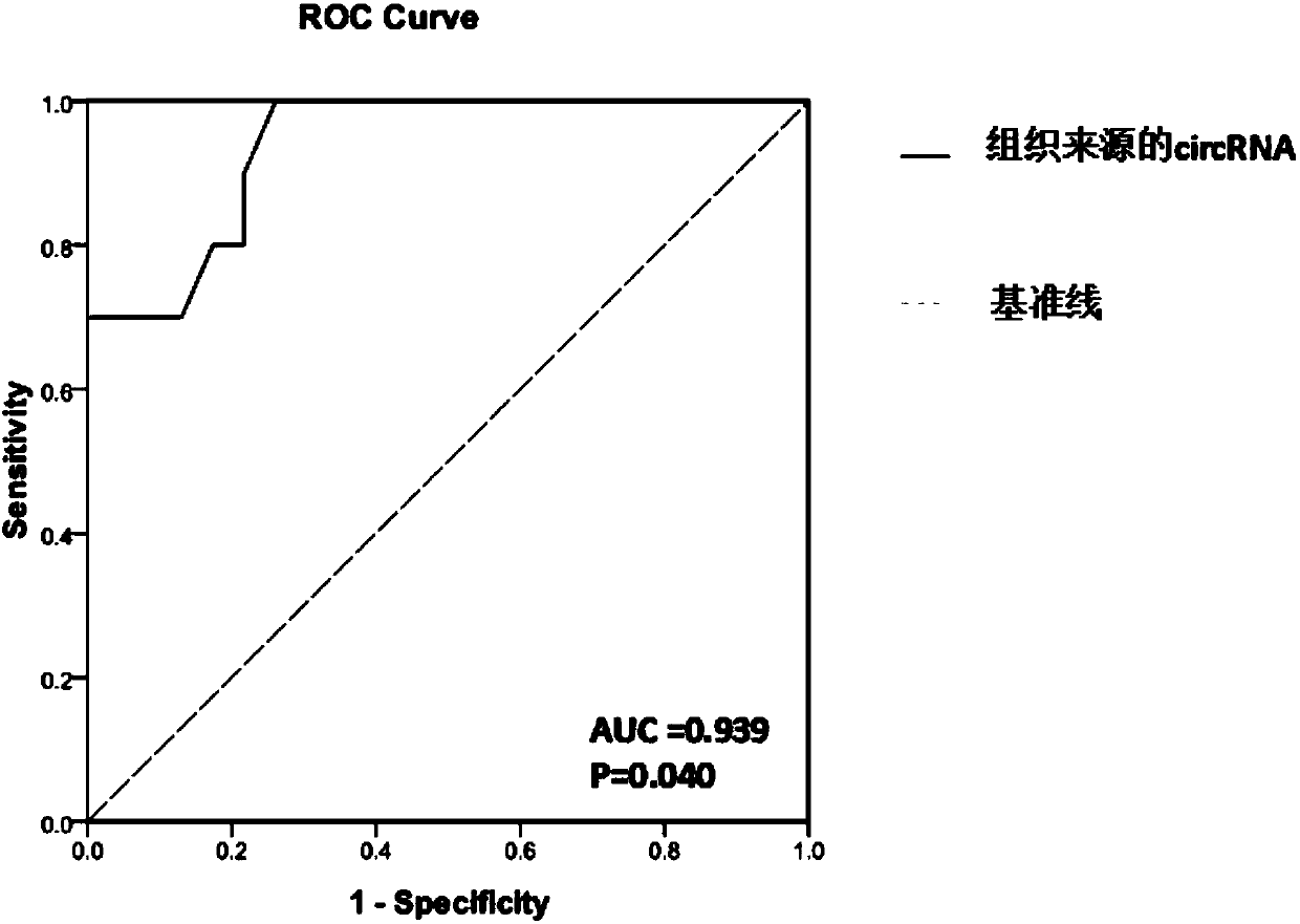 Glioma prognostic marker hsa_circ_0125365 and application