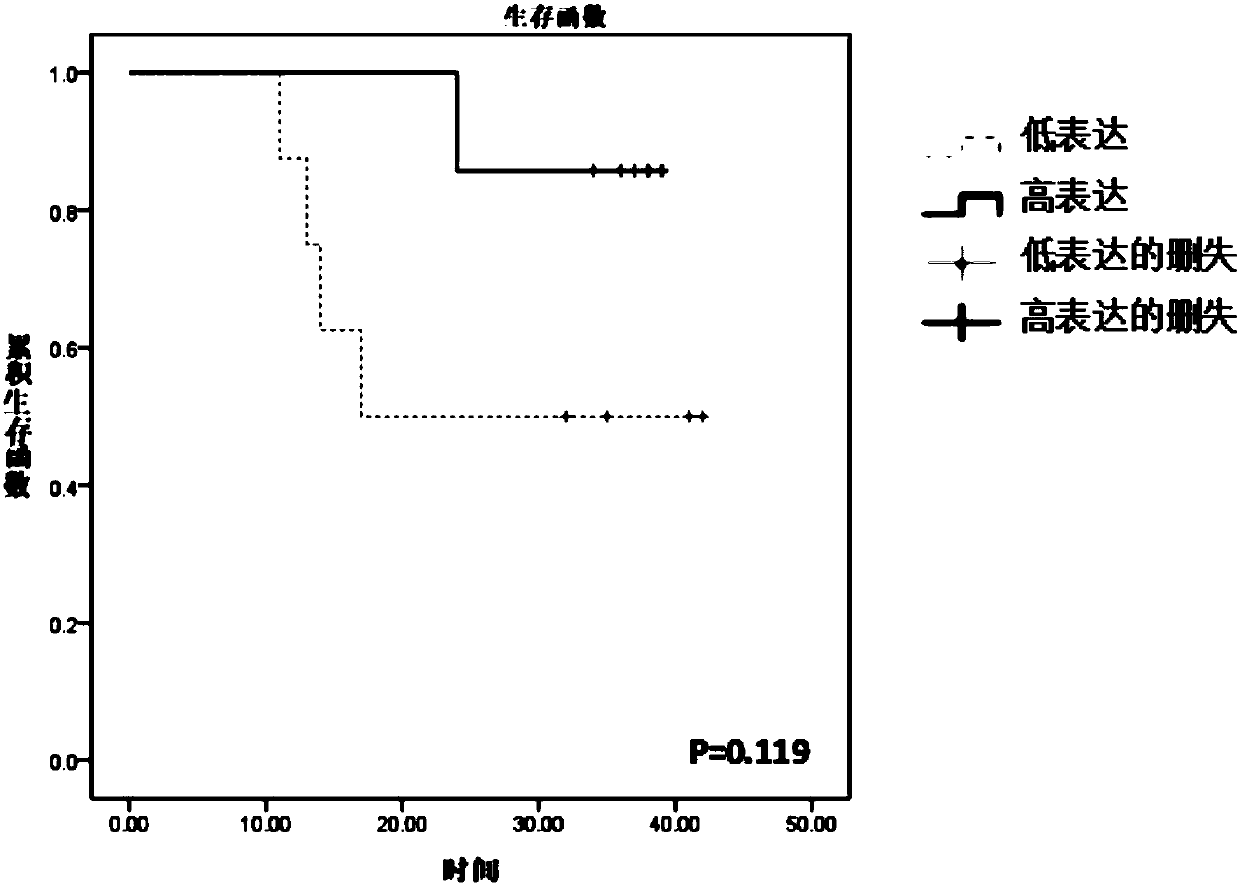 Glioma prognostic marker hsa_circ_0125365 and application