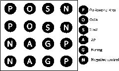 Method for detecting induced pluripotent stem cell