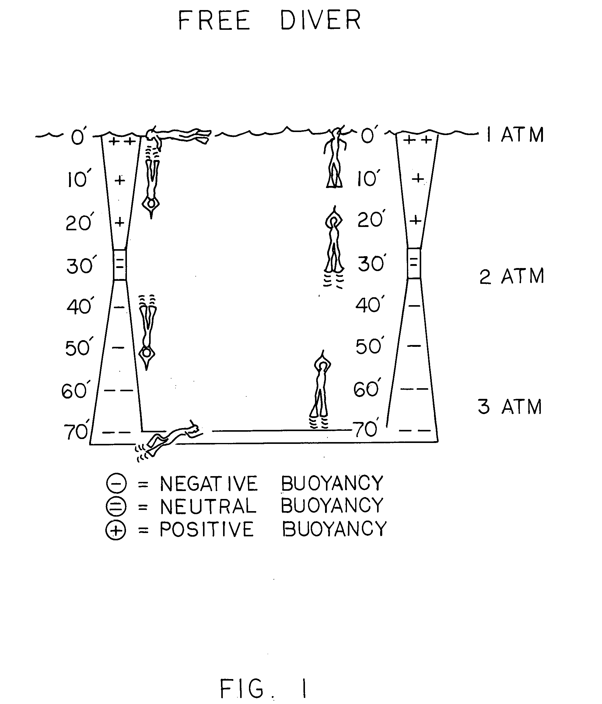 Buoyancy compensator belt