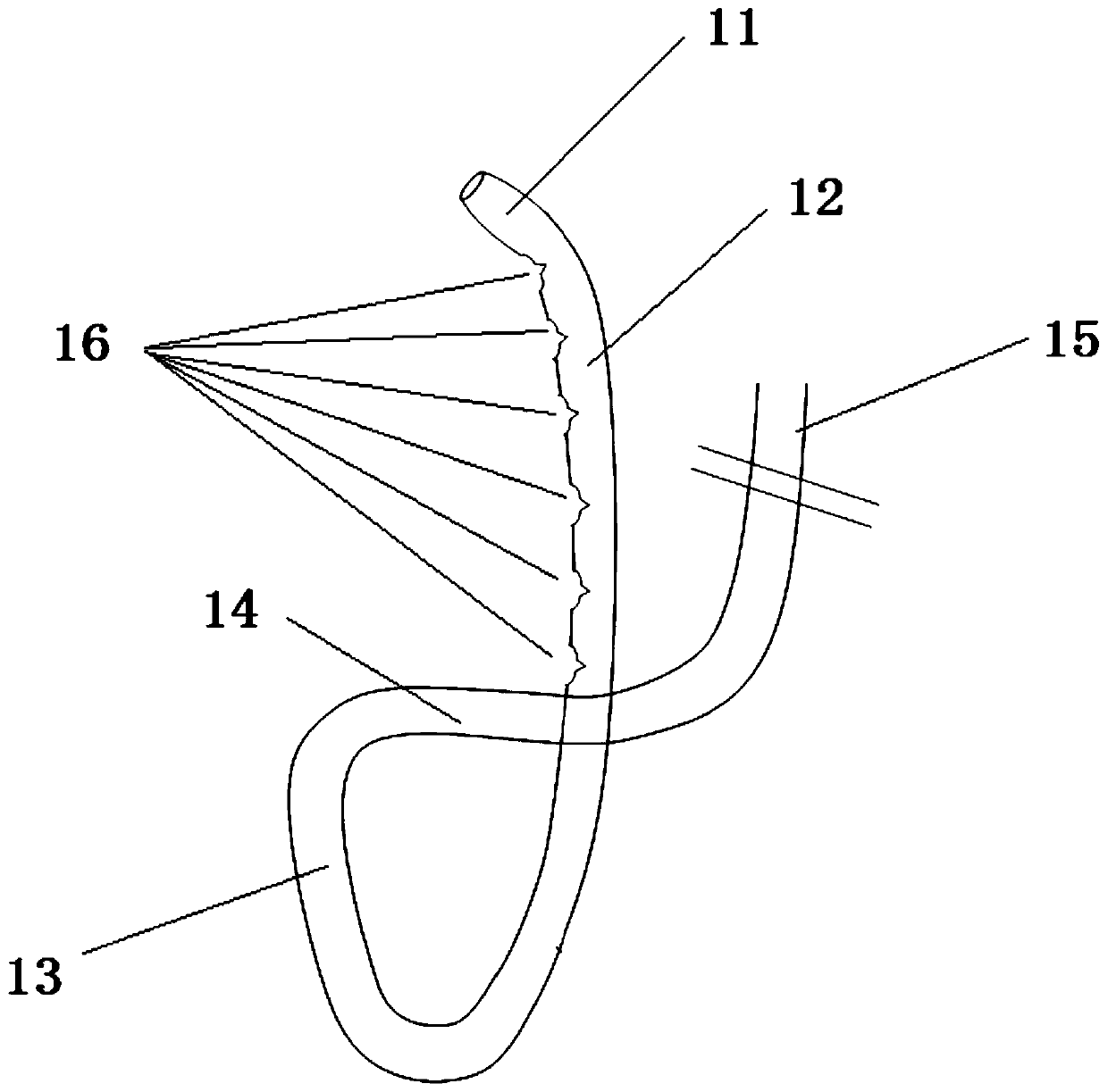 Reversed-a-shaped nasobiliary drainage tube