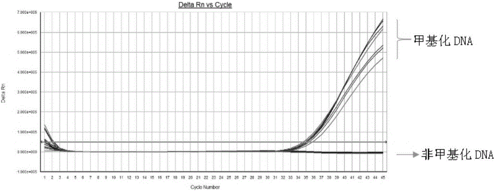 Composition for lung cancer screening and application of composition