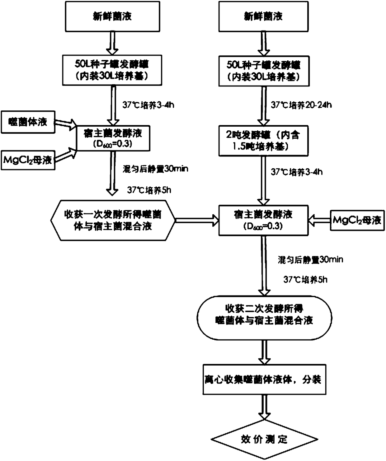 Broad-spectrum bacteriophage preparation for aquaculture and preparation method thereof