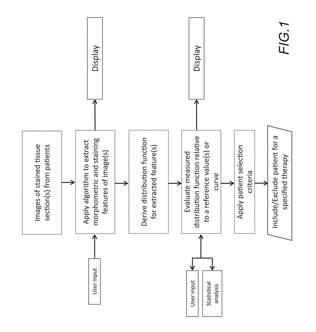 Method for stratifying and selecting candidates for receiving a specific therapeutic approach