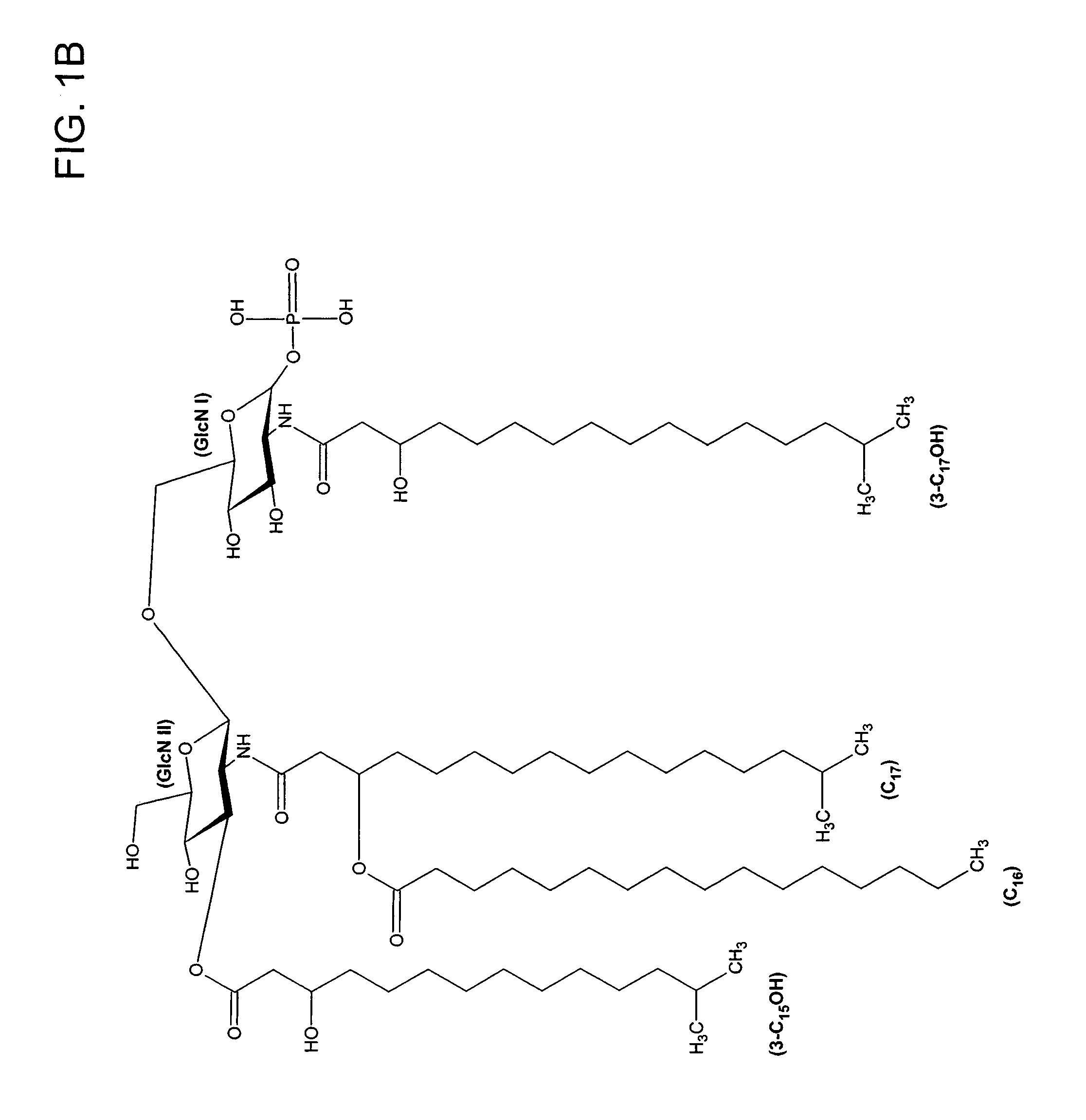 Porphyromonas gingivalis 1435/1449 LPS as an immune modulator