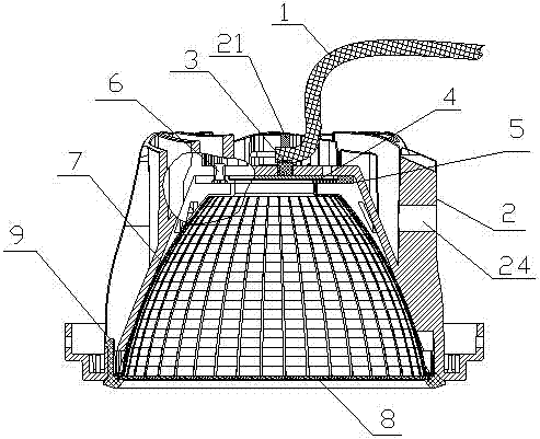 LED light source module and heat radiator thereof