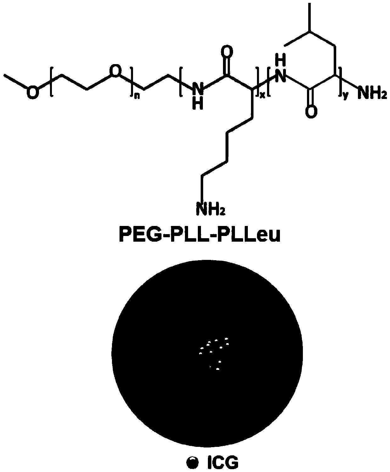 Amphipathy tri-block polypeptide ICG (Indocyanine Green) loaded micelle and preparation method thereof