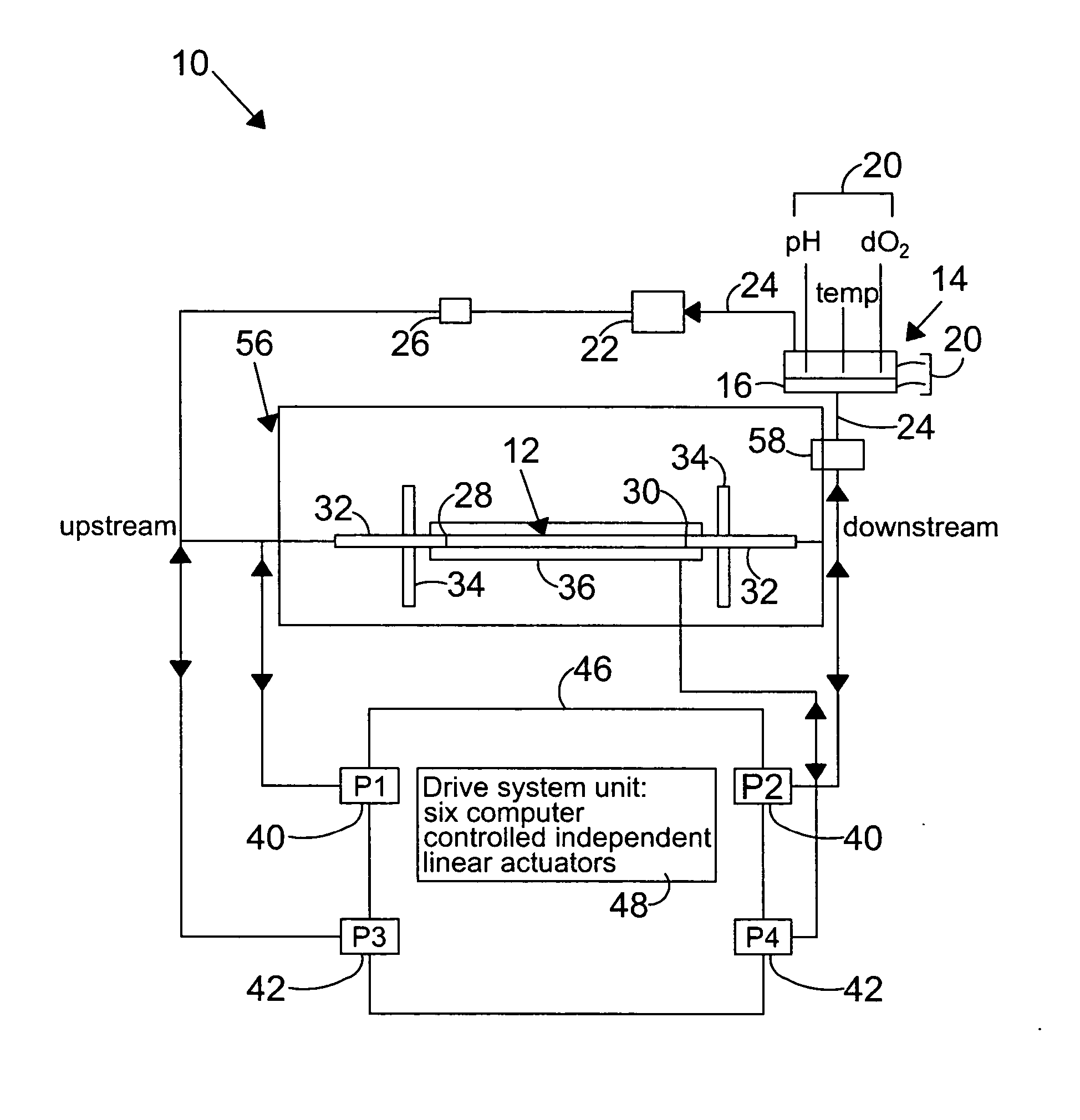 System and method to simulate hemodynamics