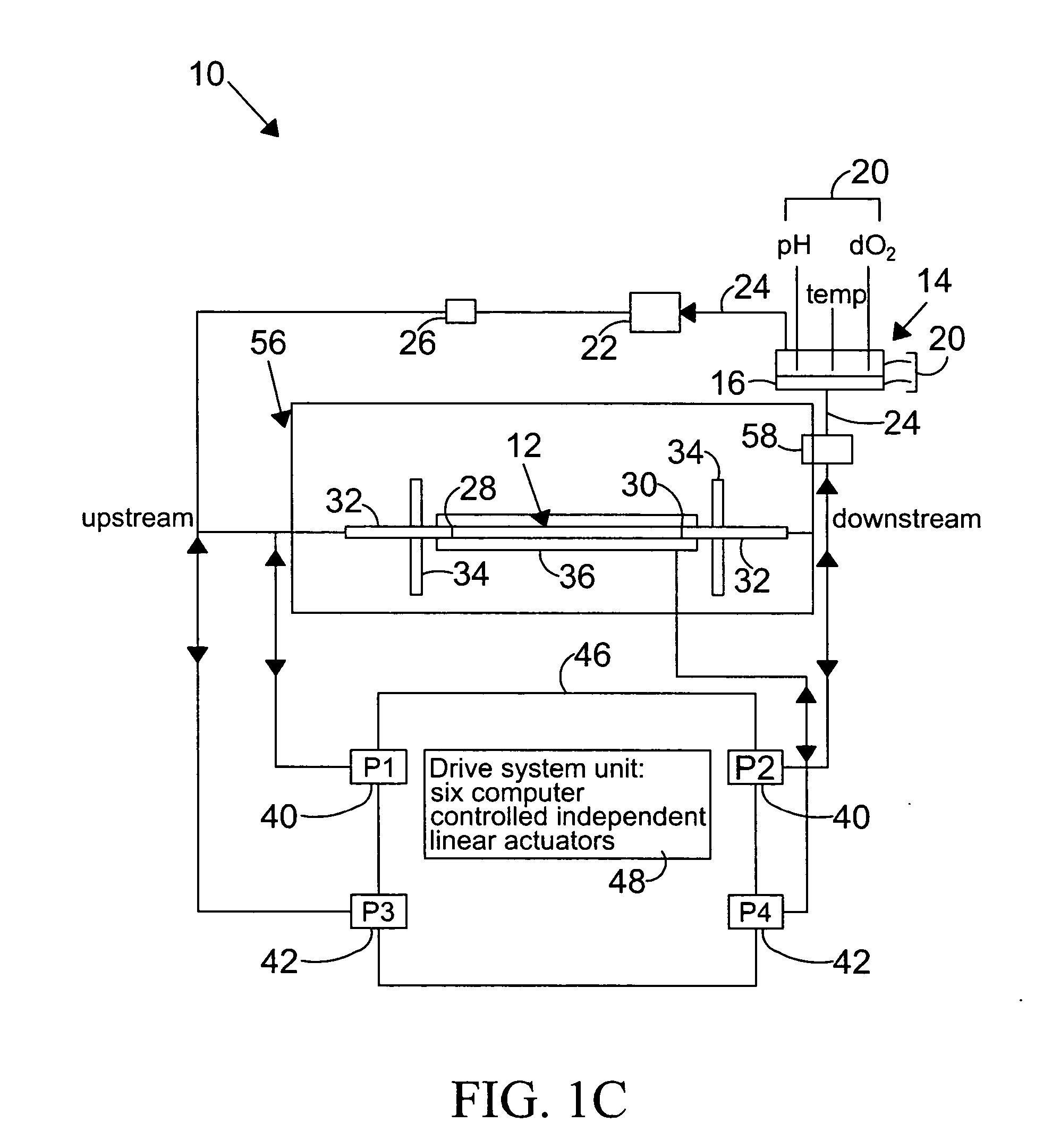 System and method to simulate hemodynamics