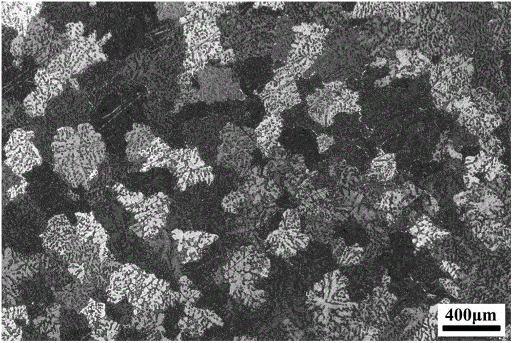 Grain refiner for mg-al magnesium alloy and preparation method thereof